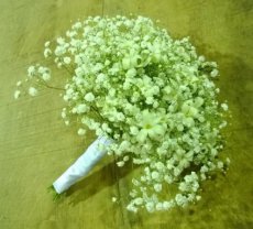 Bruidsboeket gipskruid, hyacint